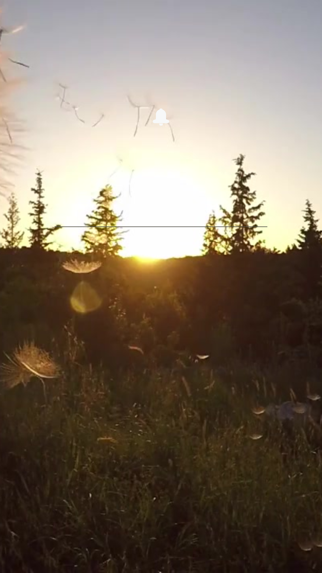 Vernisaj „Symbiotic Collapse” – O reflecție artistică asupra schimbărilor climatice