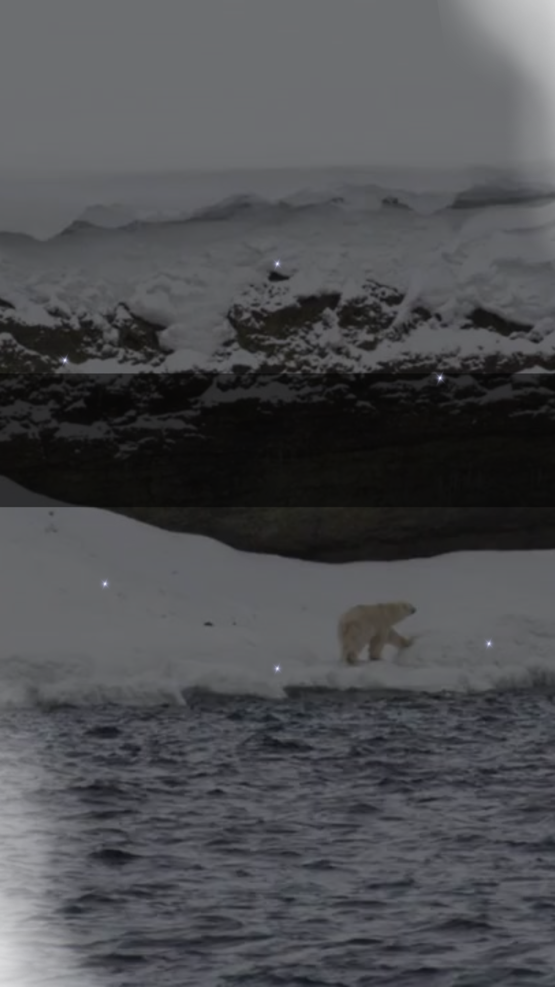 Eveniment – Cu ursul polar pe uscat, la Bastion, sau ce se schimbă când se schimbă clima?